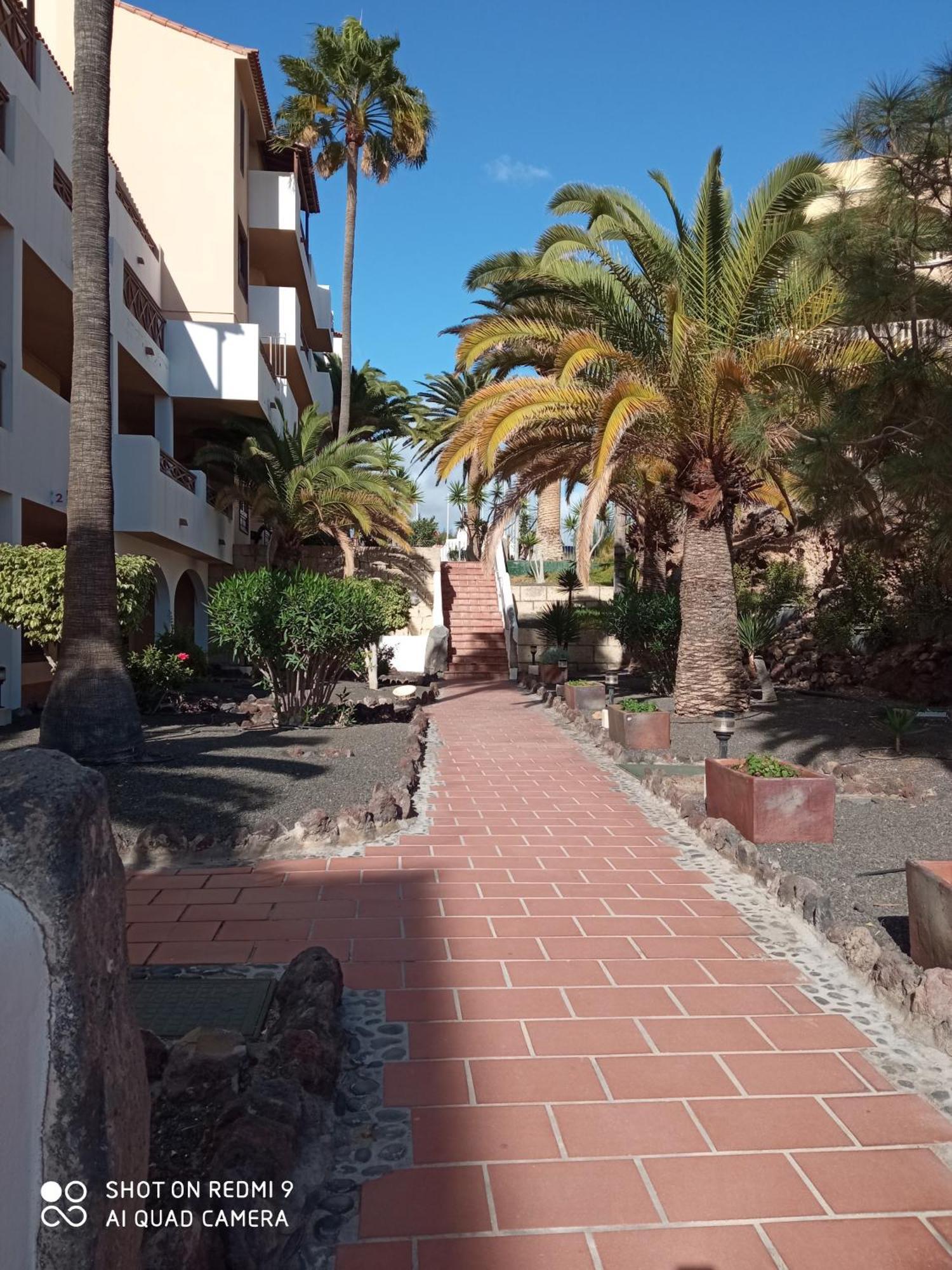 Las Meninas Tenerife San Miguel de Abona Zimmer foto